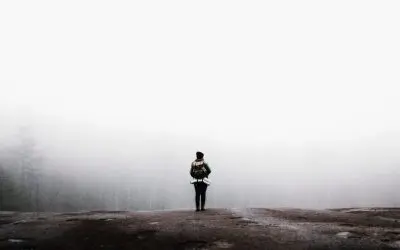 How to Set Up Your Domain, SSL, Email, & WordPress Using cPanel