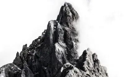 Here’s why you should consider working with your competitors.