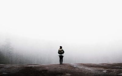 How to Set Up Your Domain, SSL, Email, & WordPress Using cPanel